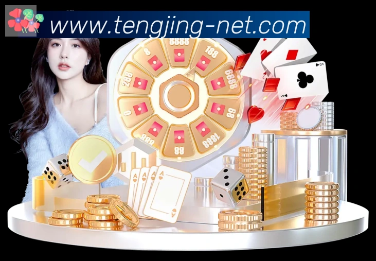 平台展示图